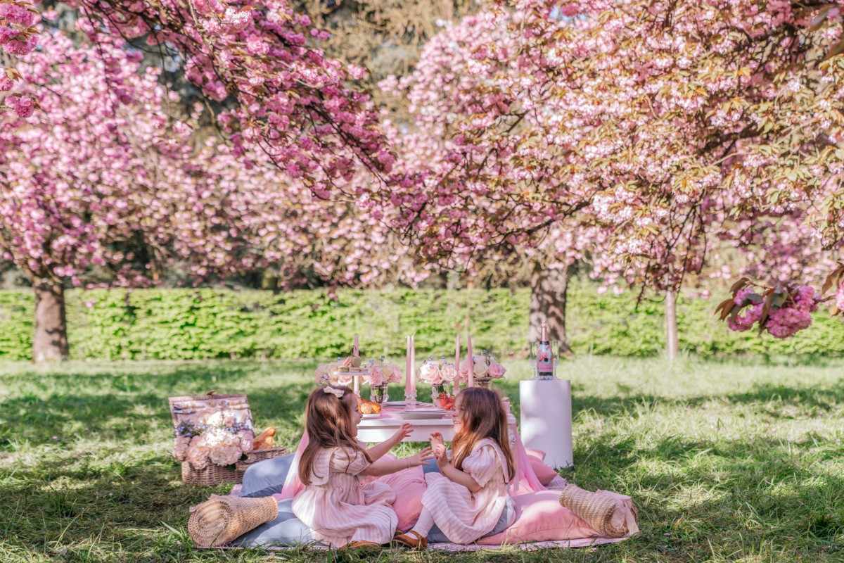 Luxury Picnics Paris
